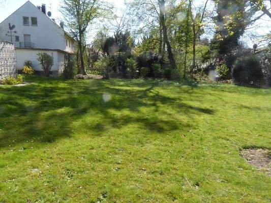 Blick in die Natur Teil III 