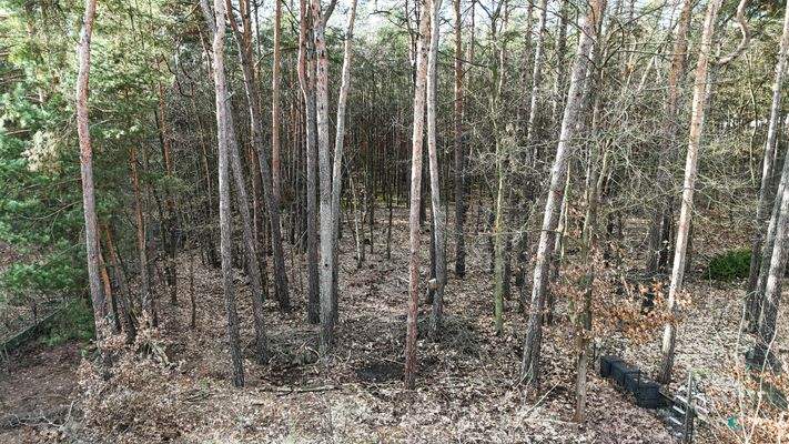 Blick vom Grundstück in das anliegende Naturschutzgebiet