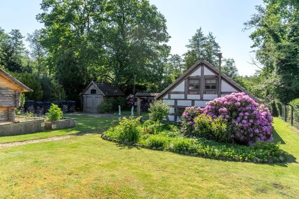 Blick in den Garten