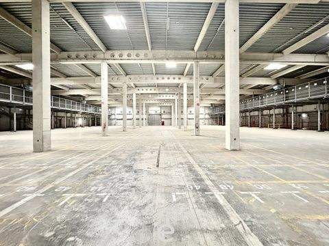 Wiener Neudorf Halle, Wiener Neudorf Hallenfläche