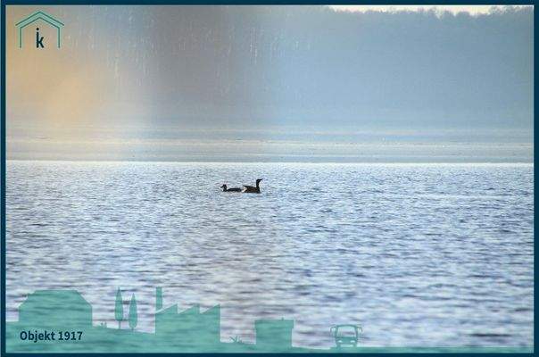 1917 Blick über den See Naturschauspiele inklusive