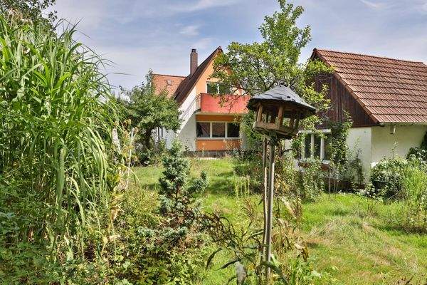 Rückseite mit Garten