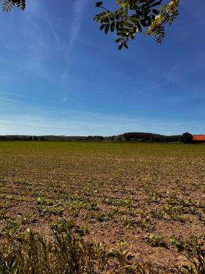 Blick von der oberen Koppel