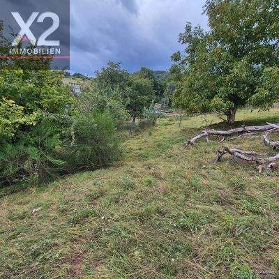 PHOTO-2025-09-09-10-44-27 (2)