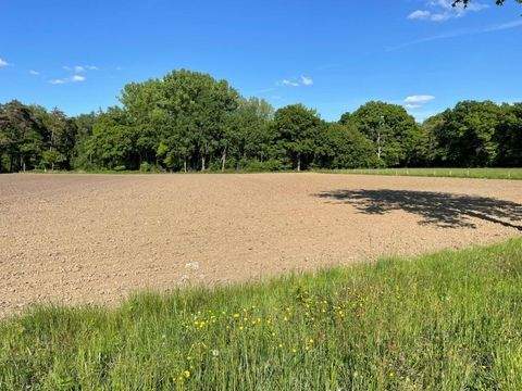 Südlohn Bauernhöfe, Landwirtschaft, Südlohn Forstwirtschaft