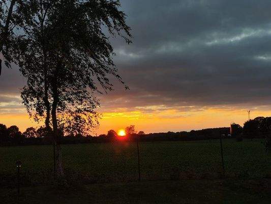 Blick vom Wohnzimmer 2