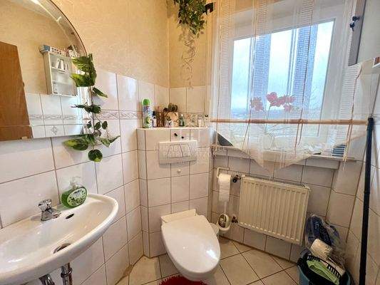 Erdgeschoss Gäste WC