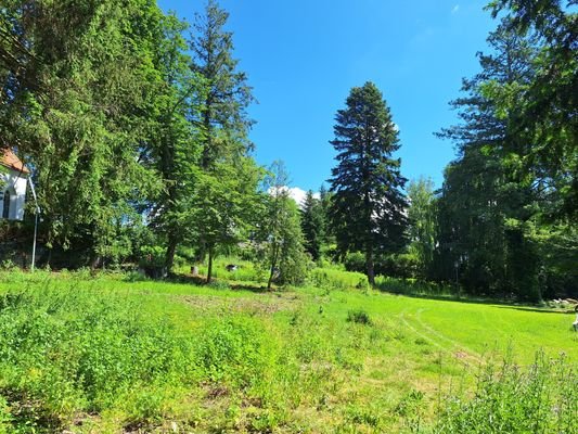 Kraftplatz in der Natur