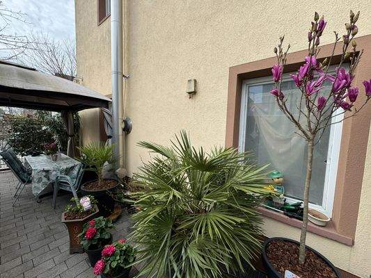 9. Hof Eingangsbereich