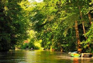 Attraktives Baugrundstück für eine Mehrfamilienhausbebauung