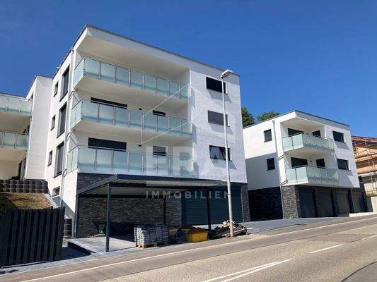 WhatsApp Image 2023-08-12 at 12.39.49 (1)