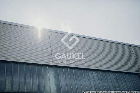 Memmingen Halle, Memmingen Hallenfläche