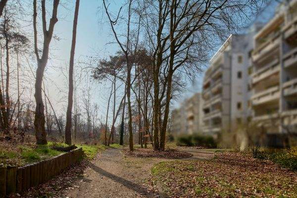 Rückansicht der Immobilie