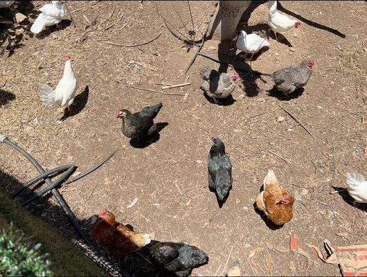 WhatsApp Image 2025-05-01 at 12.22.04 (2).jpeg