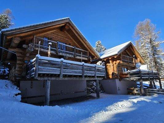 Golden Eagle & Sleepy Bear