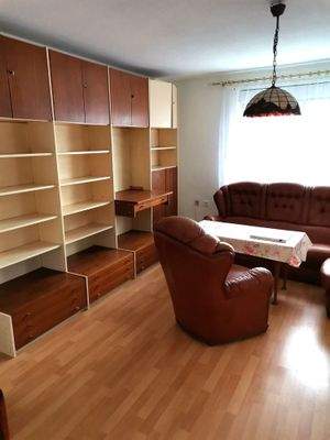 Bücherwand im Wohnzimmer