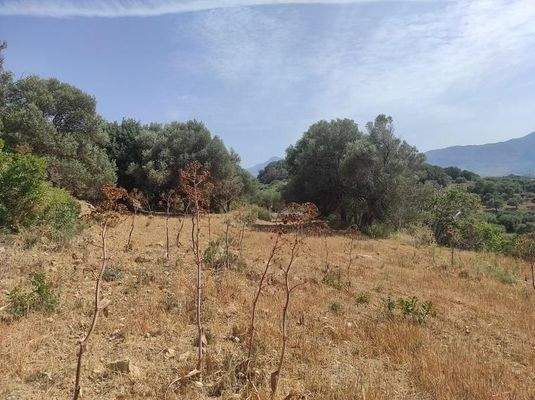 Kreta, Karoti: Grundstück mit Baugenehmigung und atemberaubendem Bergblick zu verkaufen