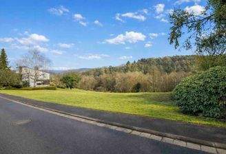 01_Baugrundstueck_Waldrand_Linsengericht_Grossenhausen_Titelbild_1