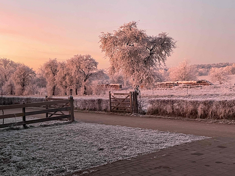 Weißenburg i. Bay. Bauernhöfe, Landwirtschaft, Weißenburg i. Bay. Forstwirtschaft