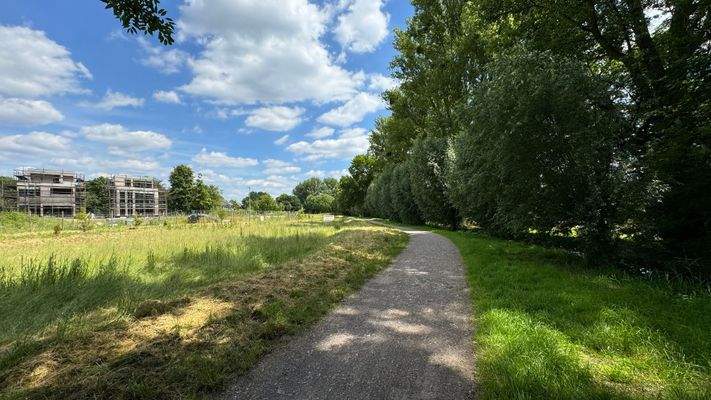 grüne Lage am Angerbach.JPG