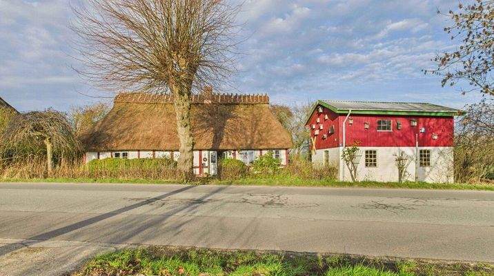 Reetdachkate und Nebengebäude