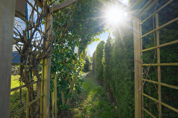 Garten mit weiterem Zugang