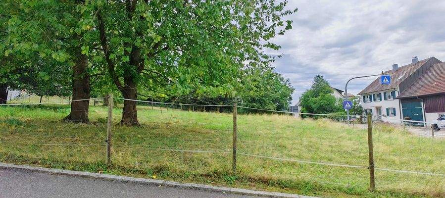 b7cdb9e4-e38d-49ee-9b93-0b2a24fe80c7