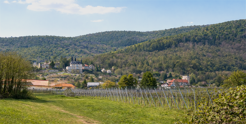 Rarität - Baugrundstück