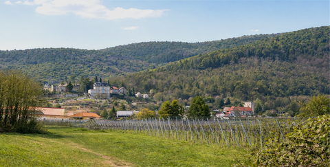 Neustadt Grundstücke, Neustadt Grundstück kaufen