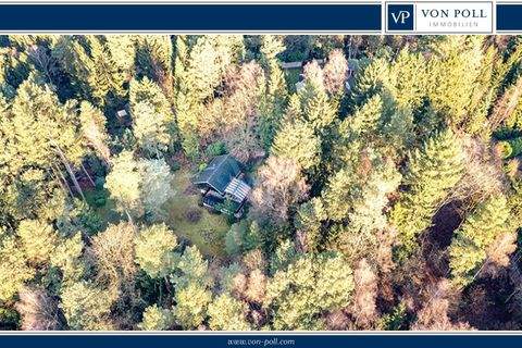 Handeloh / Höckel Häuser, Handeloh / Höckel Haus kaufen