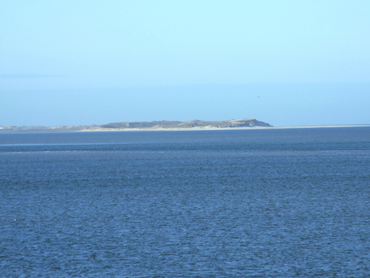 Blick nach Amrum.png