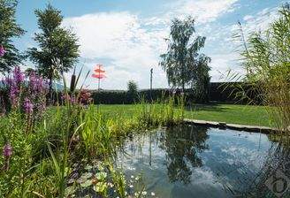 Fischteich mit Fischbestand