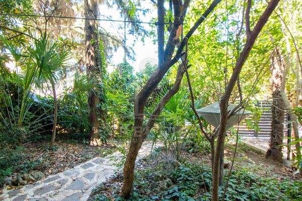 Lichtdurchflutetes Dachgeschossparadies