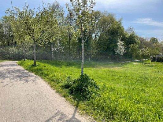 Fahrrad- u. Fußweg "Alte Bahn