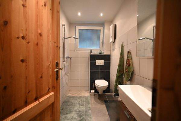 Gäste-WC mit Dusche Erdgeschoss