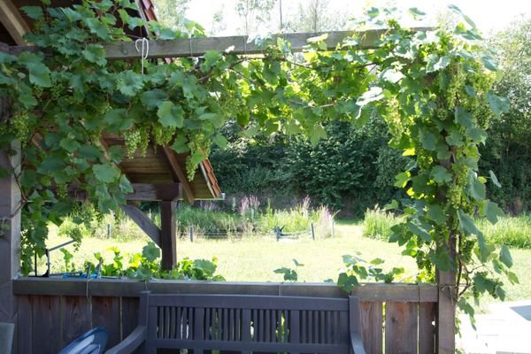 Ausblick Gartenanlage.jpg