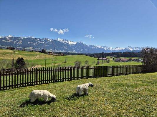 Blick aus dem Garten in die Bergwelt