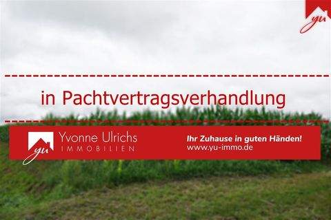 Westerholt , Ostfriesl Bauernhöfe, Landwirtschaft, Westerholt , Ostfriesl Forstwirtschaft