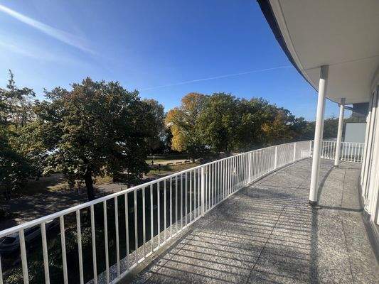 ...sonniger Dachterrasse