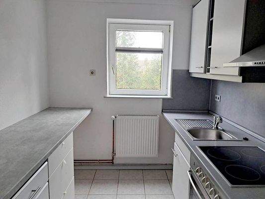 Küche mit Einbauküche