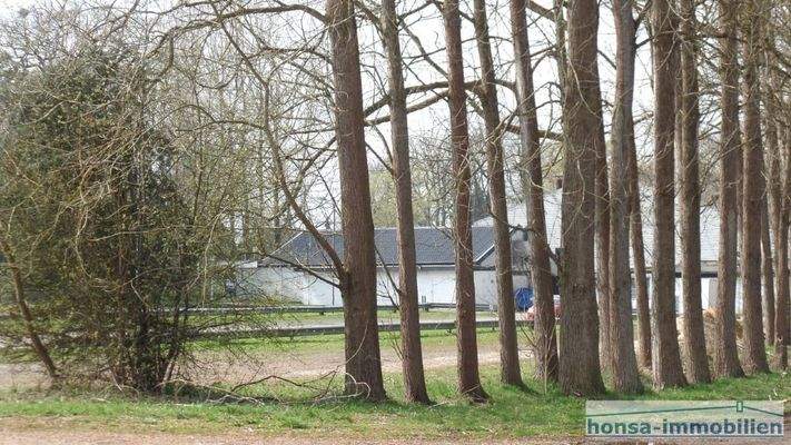 Pappelallee -nicht erhaltungswürdig-