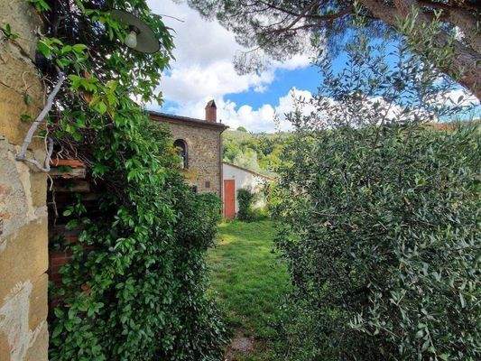 55LAzienda_ agricola_Toskana.jpg