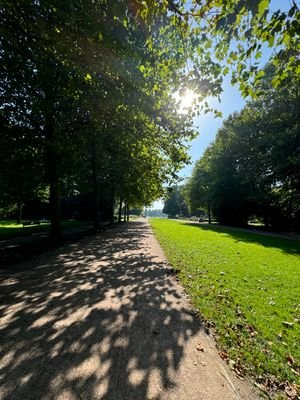 Umgebung/Stadtpark