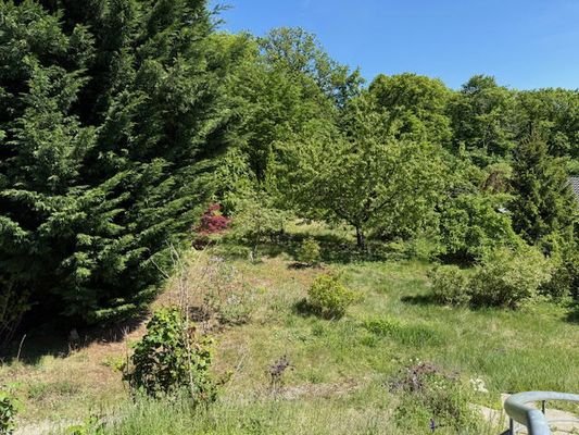 Blick ihn den Garten
