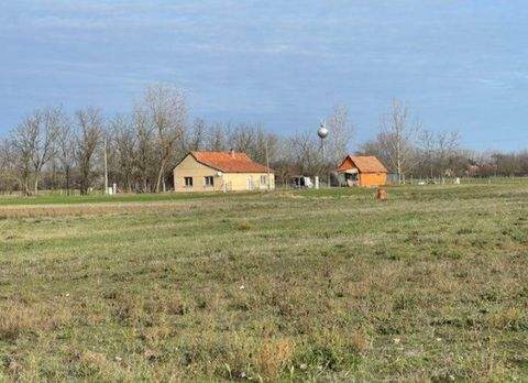 Ruzsa Häuser, Ruzsa Haus kaufen