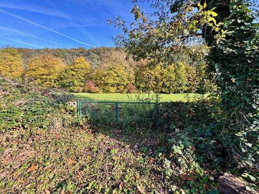 hinter Gartenbereich