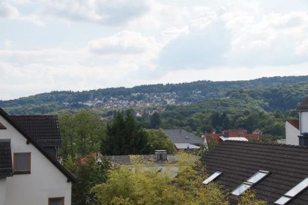 Blick Richtung Taunus und Mammolshain