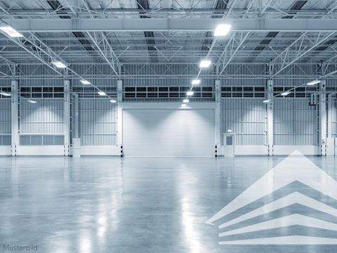 Ennsdorf Halle, Ennsdorf Hallenfläche