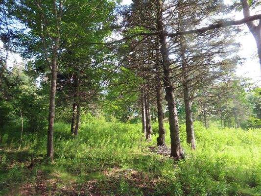 Cape Breton - Wunderschönes Fluss-Ufergrundstück a