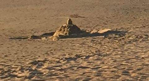 Stemwede Grundstücke, Stemwede Grundstück kaufen